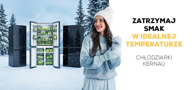 Lodowki zimowe mobile.jpg