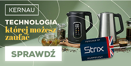 Czjniki Strix 420x213.png